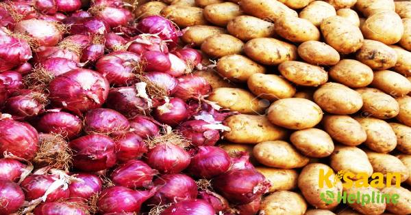 खुदरा बाजार में प्याज की कीमतें बढ़कर 70 रुपये प्रति किलोग्राम, जबकि आलू 50-60 रुपये प्रति किलोग्राम रुपये हो गई खुदरा बाजार में प्याज की कीमतें बढ़कर 70 रुपये प्रति किलोग्राम, जबकि आलू 50-60 रुपये प्रति किलोग्राम रुपये हो गई